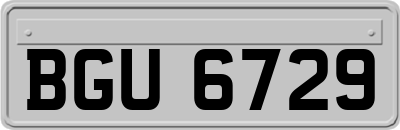 BGU6729