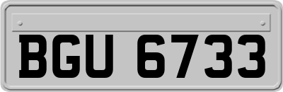 BGU6733