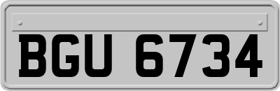BGU6734