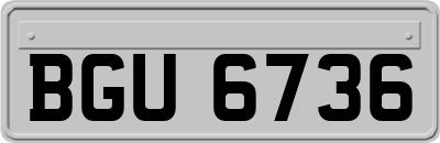 BGU6736