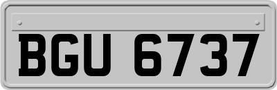 BGU6737