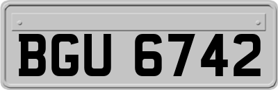 BGU6742