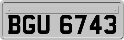 BGU6743