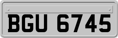 BGU6745