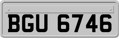 BGU6746