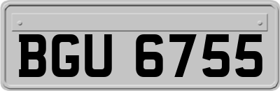 BGU6755
