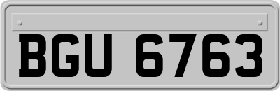 BGU6763
