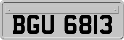 BGU6813