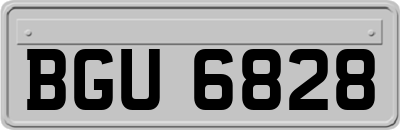 BGU6828