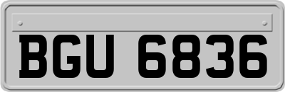 BGU6836