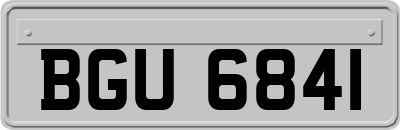 BGU6841