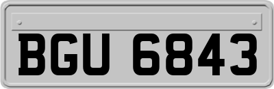 BGU6843