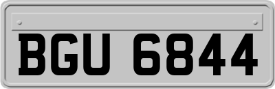 BGU6844