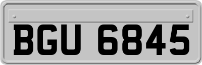 BGU6845