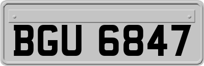 BGU6847