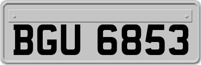 BGU6853