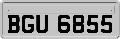 BGU6855
