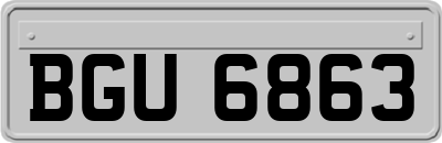BGU6863