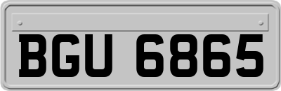 BGU6865