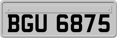 BGU6875