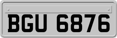 BGU6876