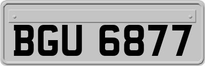 BGU6877