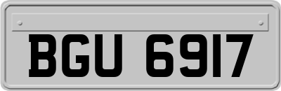 BGU6917