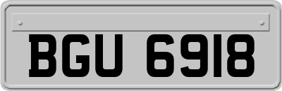 BGU6918