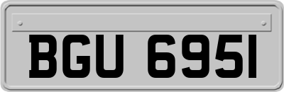 BGU6951