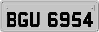 BGU6954