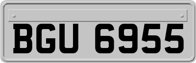 BGU6955