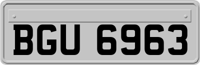 BGU6963
