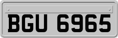 BGU6965