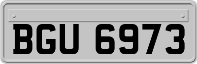 BGU6973