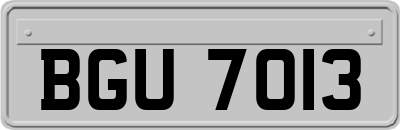 BGU7013