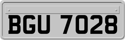 BGU7028