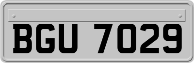 BGU7029