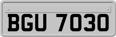 BGU7030