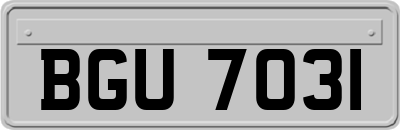 BGU7031