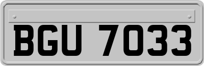 BGU7033