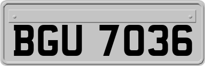 BGU7036