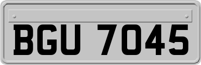 BGU7045