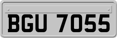 BGU7055