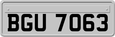 BGU7063