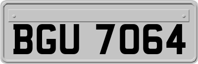 BGU7064