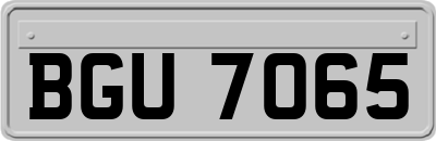BGU7065