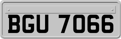 BGU7066