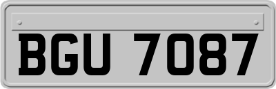 BGU7087