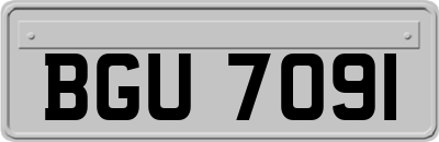 BGU7091