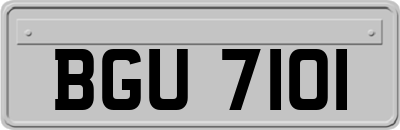 BGU7101